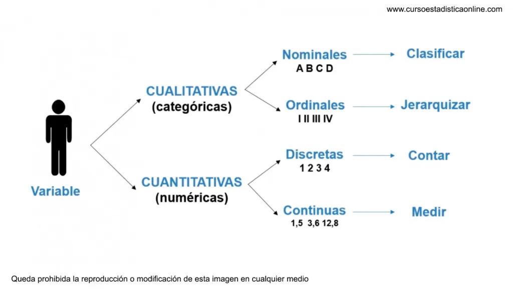 Por qué es importante identificar el tipo de variable?